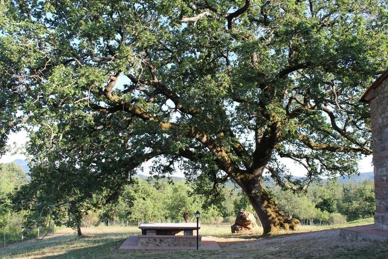Agriturismo La Quercia Boccheggiano Zewnętrze zdjęcie