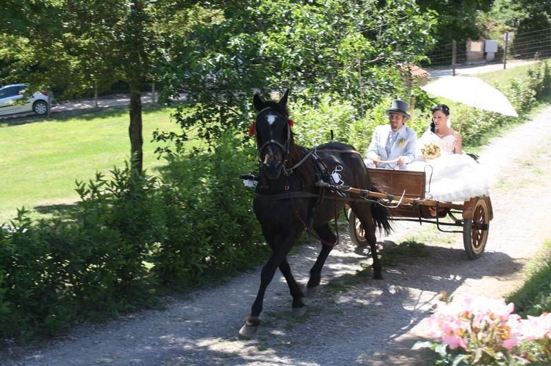 Agriturismo La Quercia Boccheggiano Zewnętrze zdjęcie