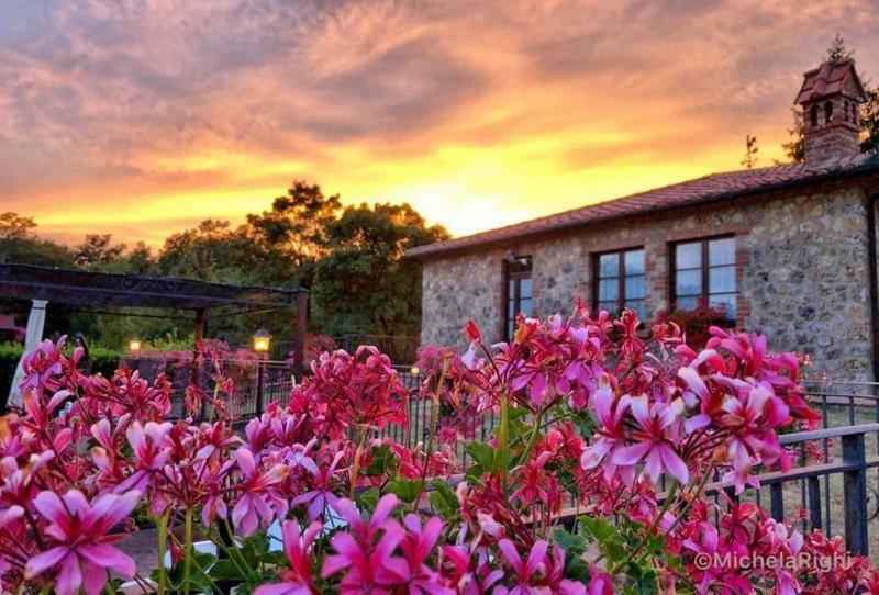 Agriturismo La Quercia Boccheggiano Zewnętrze zdjęcie